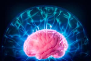 Image cerveau - ecole de pnl de lausanne - epnll