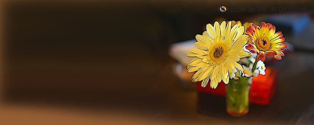 Image formation - Ecole de pnl de lausanne - epnll