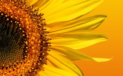 Pourquoi faire du développement personnel? Le Triangle P.E.R.S.O.