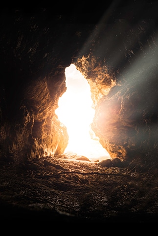 Image Le plaisir avant tout - développement personnel - epnll - Ecole de PNL de Lausanne