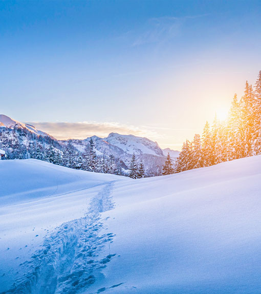 Offre-de-formations-coaching-découverte-les-bases-du-coaching-epnll-ecole-de-pnl-de-lausanne-valery-comte Photo illustrant le sujet : Offre-de-formations-coaching-découverte-les-bases-du-coaching-epnll-ecole-de-pnl-de-lausanne-valery-comte