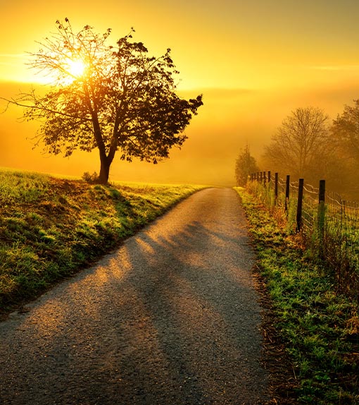 Offre-de-formations-pnl-découverte-les-bases-de-la-pnl-epnll-ecole-de-pnl-de-lausanne-valery-comte