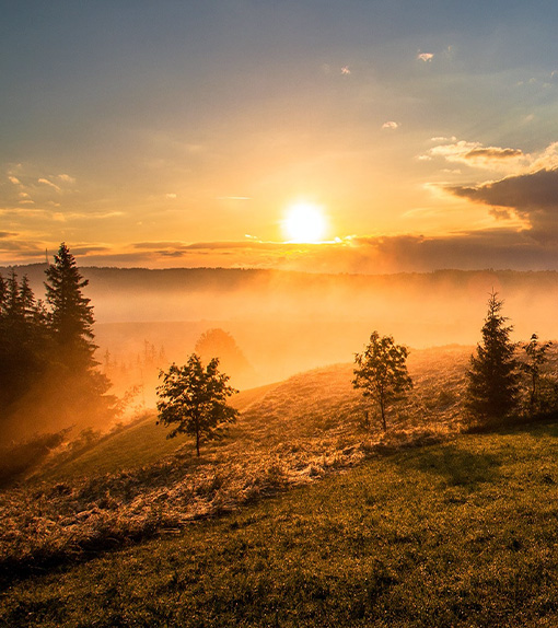Photo illustrant le sujet : Offre-de-formations-pnl-praticien-certifié-epnll-ecole-de-pnl-de-lausanne-valery-comte